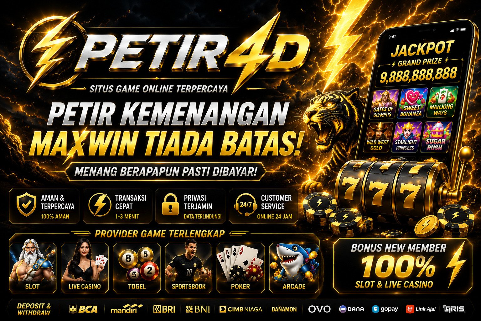 PETIR4D PETIR4D